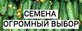 т